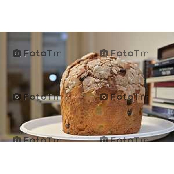 Foto Manzoni Tiziano/LaPresse 1-12-2023 Bergamo Italia- Cronaca Bergamo 8 pasticceri bergmaschi decretano il panettone migliorenella redazione del corriere Bg