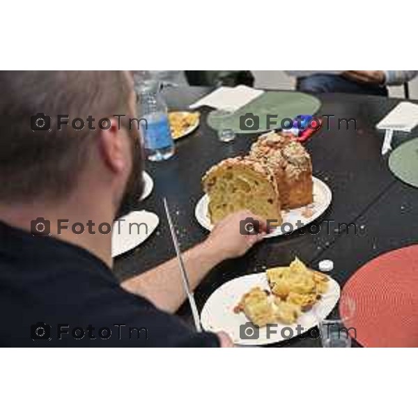 Foto Manzoni Tiziano/LaPresse 1-12-2023 Bergamo Italia- Cronaca Bergamo 8 pasticceri bergmaschi decretano il panettone migliorenella redazione del corriere Bg