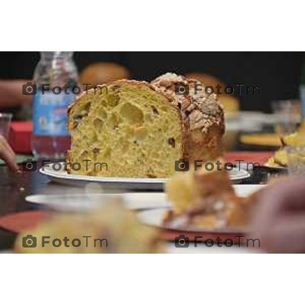 Foto Manzoni Tiziano/LaPresse 1-12-2023 Bergamo Italia- Cronaca Bergamo 8 pasticceri bergmaschi decretano il panettone migliorenella redazione del corriere Bg