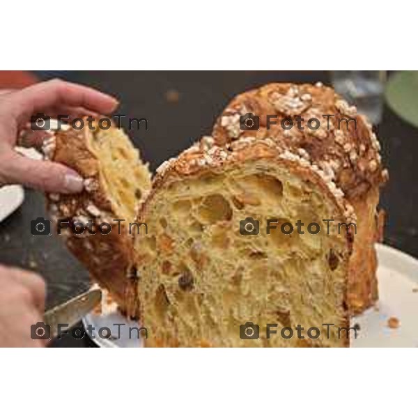 Foto Manzoni Tiziano/LaPresse 1-12-2023 Bergamo Italia- Cronaca Bergamo 8 pasticceri bergmaschi decretano il panettone migliorenella redazione del corriere Bg