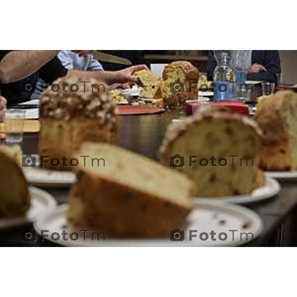 Foto Manzoni Tiziano/LaPresse 1-12-2023 Bergamo Italia- Cronaca Bergamo 8 pasticceri bergmaschi decretano il panettone migliorenella redazione del corriere Bg