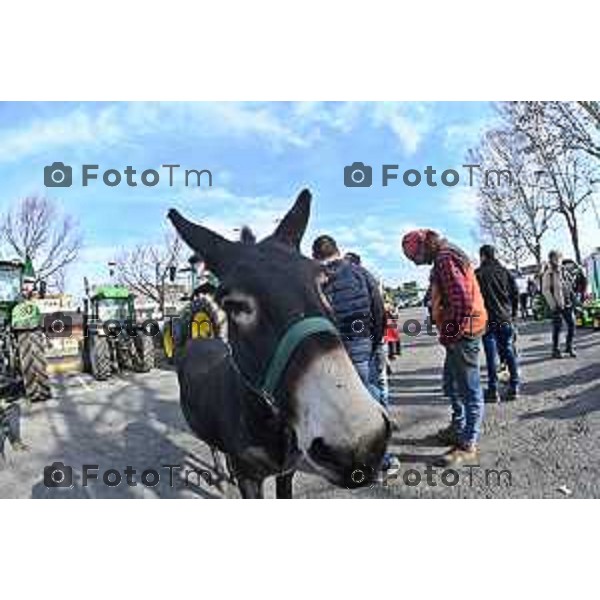 Tiziano Manzoni/LaPresse 8-02- 2024 Bergamo, Italia Cronaca Bergamo Manifestazione agricoltori contro leggi EU