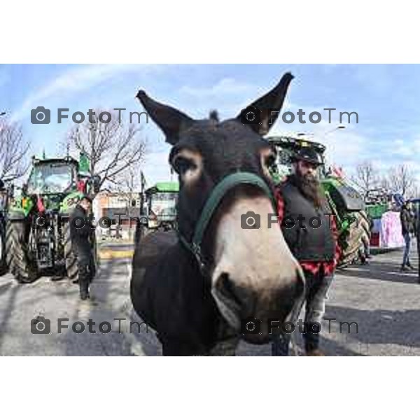 Tiziano Manzoni/LaPresse 8-02- 2024 Bergamo, Italia Cronaca Bergamo Manifestazione agricoltori contro leggi EU