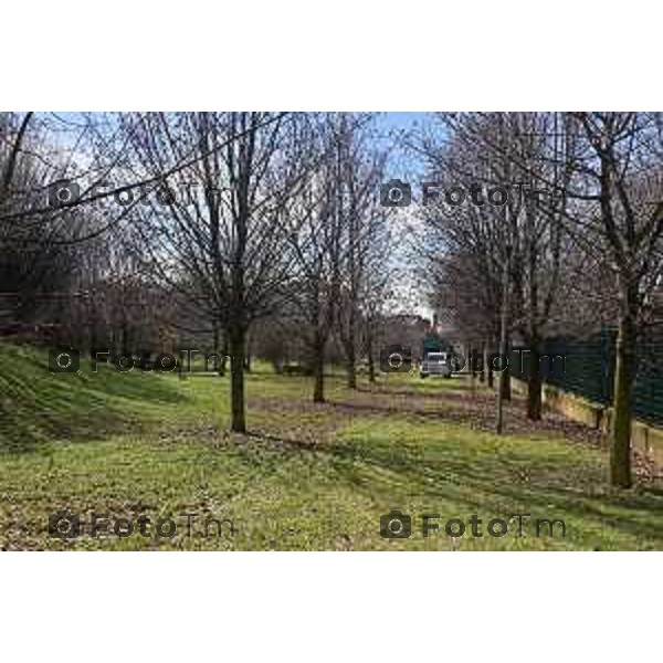 Foto Manzoni Tiziano/LaPresse 11-03-2023 Bergamo Italia- Cronaca Bergamo Allarme tarlo asistico nelle piante. Taglio alberi al parco Aldo Moro del villaggio sposi e deposito degli arbusti a Treviolo zona Roncola con cartello di pericolo