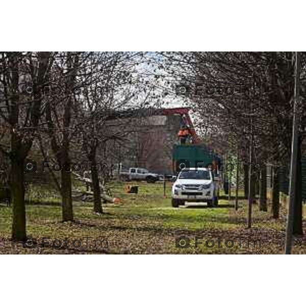 Foto Manzoni Tiziano/LaPresse 11-03-2023 Bergamo Italia- Cronaca Bergamo Allarme tarlo asistico nelle piante. Taglio alberi al parco Aldo Moro del villaggio sposi e deposito degli arbusti a Treviolo zona Roncola con cartello di pericolo