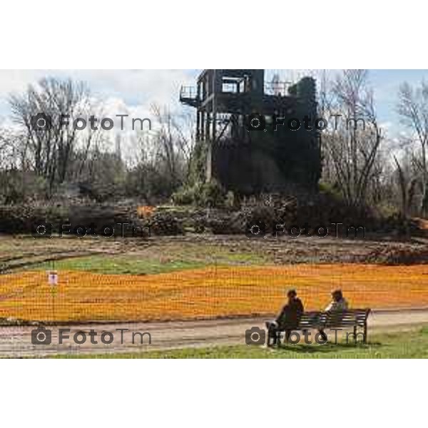 Foto Manzoni Tiziano/LaPresse 11-03-2023 Bergamo Italia- Cronaca Bergamo Allarme tarlo asistico nelle piante. Taglio alberi al parco Aldo Moro del villaggio sposi e deposito degli arbusti a Treviolo zona Roncola con cartello di pericolo