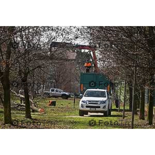 Foto Manzoni Tiziano/LaPresse 11-03-2023 Bergamo Italia- Cronaca Bergamo Allarme tarlo asistico nelle piante. Taglio alberi al parco Aldo Moro del villaggio sposi e deposito degli arbusti a Treviolo zona Roncola con cartello di pericolo