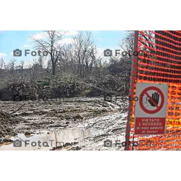 Foto Manzoni Tiziano/LaPresse 11-03-2023 Bergamo Italia- Cronaca Bergamo Allarme tarlo asistico nelle piante. Taglio alberi al parco Aldo Moro del villaggio sposi e deposito degli arbusti a Treviolo zona Roncola con cartello di pericolo