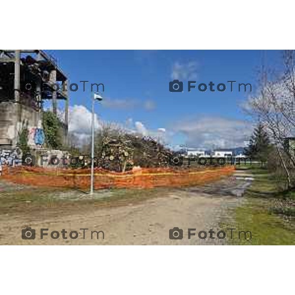 Foto Manzoni Tiziano/LaPresse 11-03-2023 Bergamo Italia- Cronaca Bergamo Allarme tarlo asistico nelle piante. Taglio alberi al parco Aldo Moro del villaggio sposi e deposito degli arbusti a Treviolo zona Roncola con cartello di pericolo