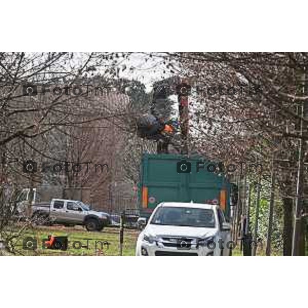 Foto Manzoni Tiziano/LaPresse 11-03-2023 Bergamo Italia- Cronaca Bergamo Allarme tarlo asistico nelle piante. Taglio alberi al parco Aldo Moro del villaggio sposi e deposito degli arbusti a Treviolo zona Roncola con cartello di pericolo