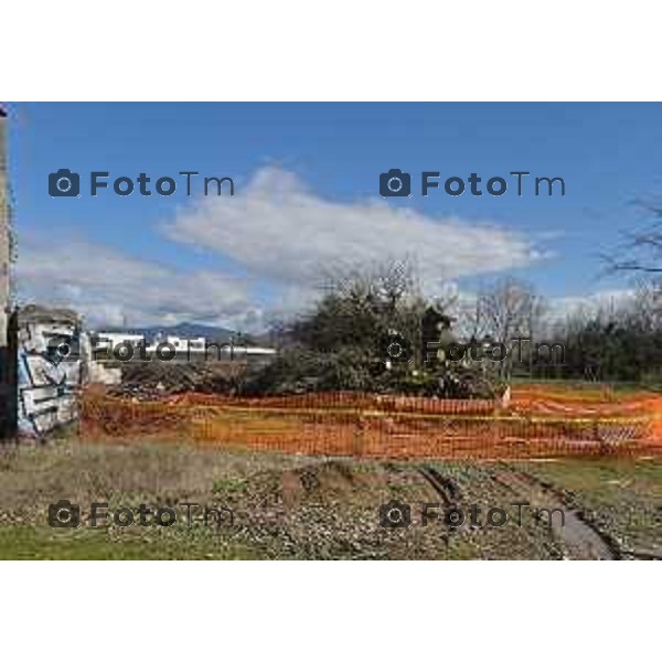 Foto Manzoni Tiziano/LaPresse 11-03-2023 Bergamo Italia- Cronaca Bergamo Allarme tarlo asistico nelle piante. Taglio alberi al parco Aldo Moro del villaggio sposi e deposito degli arbusti a Treviolo zona Roncola con cartello di pericolo