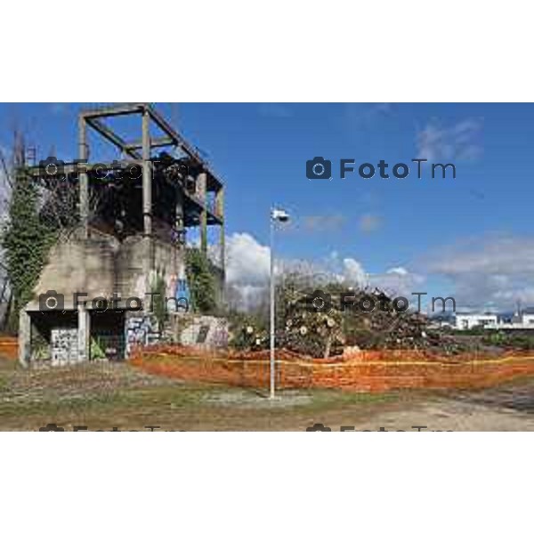 Foto Manzoni Tiziano/LaPresse 11-03-2023 Bergamo Italia- Cronaca Bergamo Allarme tarlo asistico nelle piante. Taglio alberi al parco Aldo Moro del villaggio sposi e deposito degli arbusti a Treviolo zona Roncola con cartello di pericolo