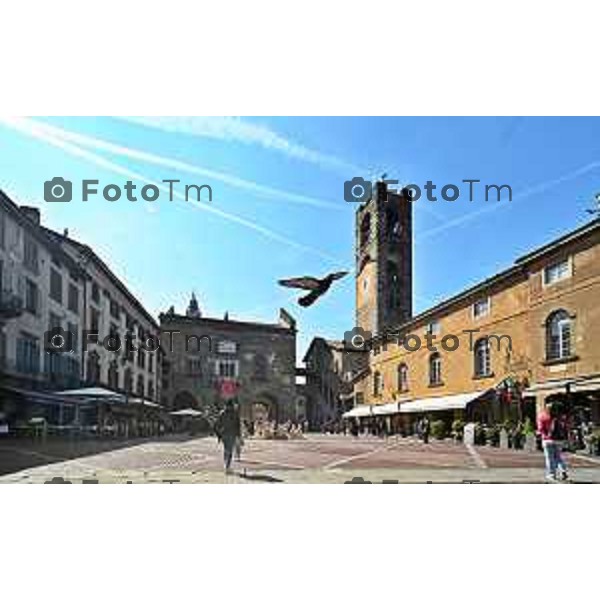 Foto Manzoni Tiziano/LaPresse 02-04-2023 Bergamo Italia- Cronaca Bergamo Bergamo citta alta piazza vecchia piccioni volo pizza bacio