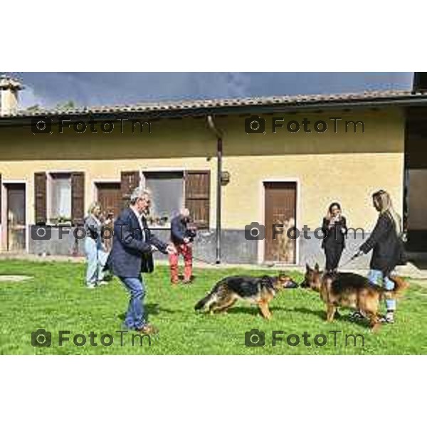 Tiziano Manzoni/LaPresse 17--04- 2024 Bergamo, Italia Cronaca Bergamo Rifugio Barattieri Arzago D’Adda (BG) il famoso pastore tedesco Günther VI adotterà la lupacchiotta Cindy nella foto le due "tate" di unter con il nuovo arrivato a cui viene applicato un collare doro e Griffao