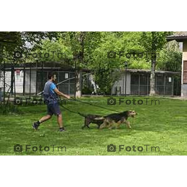 Tiziano Manzoni/LaPresse 17--04- 2024 Bergamo, Italia Cronaca Bergamo Rifugio Barattieri Arzago D’Adda (BG) il famoso pastore tedesco Günther VI adotterà la lupacchiotta Cindy nella foto le due "tate" di unter con il nuovo arrivato a cui viene applicato un collare doro e Griffao