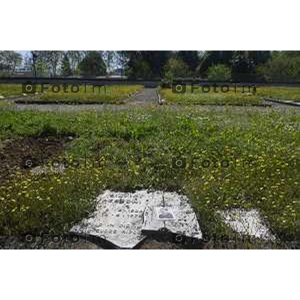 Tiziano Manzoni/LaPresse 22--04- 2024 Bergamo, Italia Cronaca Bergamo cimitero monumentale forno crematorio e lapidi rotte