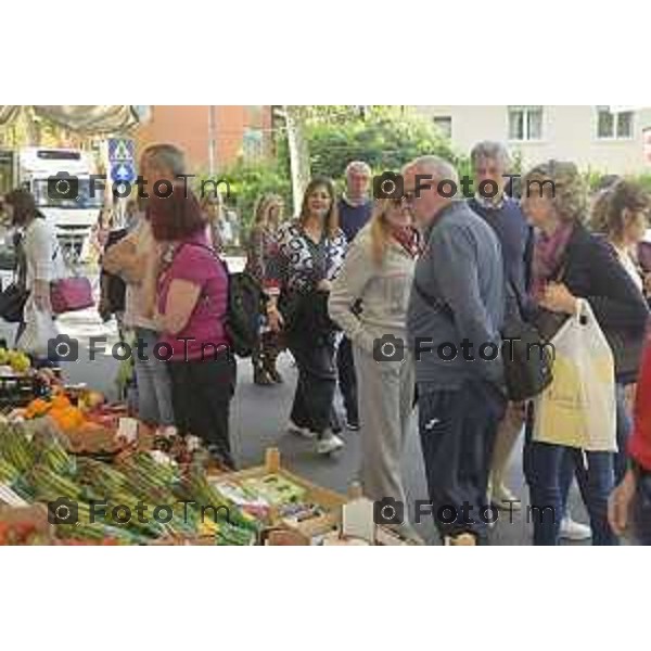 Tiziano Manzoni/LaPresse 18--05- 2024 Bergamo, Italia Cronaca Bergamo Pezzotta Andrea Monterosso mercato gazebo incontro cittadini