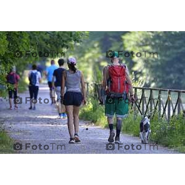 Tiziano Manzoni/LaPresse 6--07- 2024 Bergamo, Italia Cronaca Fiume Adda Trezzo sull\'Adda zona santuario di concesa la diga e la ciclabile