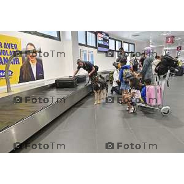 Tiziano Manzoni/LaPresse 13-08- 2024 Bergamo, Italia Cronaca Unita cinofila Guardia di Finanza Aeroporto Orio Al Serio