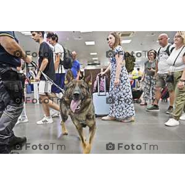 Tiziano Manzoni/LaPresse 13-08- 2024 Bergamo, Italia Cronaca Unita cinofila Guardia di Finanza Aeroporto Orio Al Serio