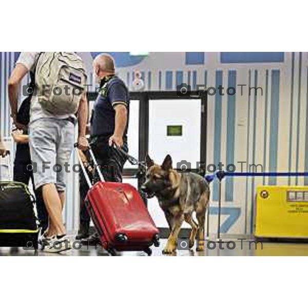 Tiziano Manzoni/LaPresse 13-08- 2024 Bergamo, Italia Cronaca Unita cinofila Guardia di Finanza Aeroporto Orio Al Serio