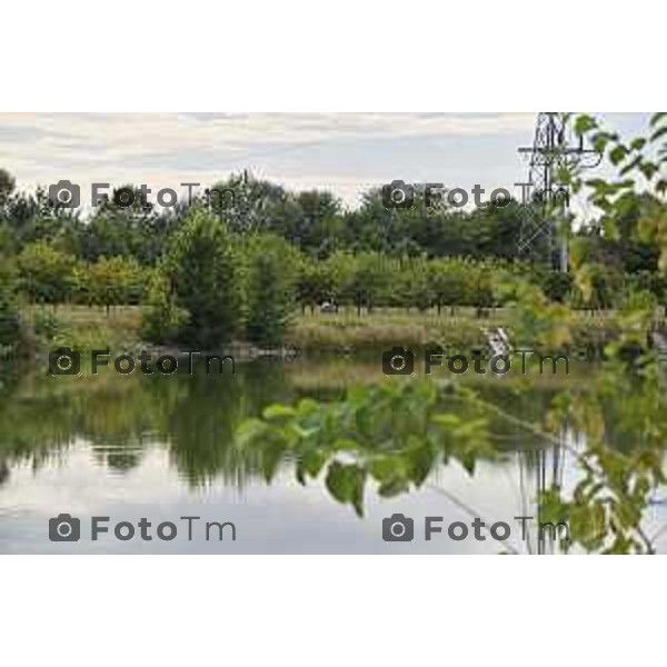 Tiziano Manzoni/LaPresse 19-08- 2024 Bergamo, Italia Cronaca Bergamo Bergamo parco della trucca laghetto e acque inquinate