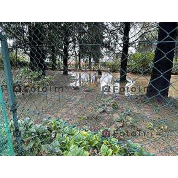 Tiziano Manzoni/LaPresse 9-09-2024 Bergamo, Italia Cronaca Alluvione esondazione della Morla.via Baioni Nava Andrea