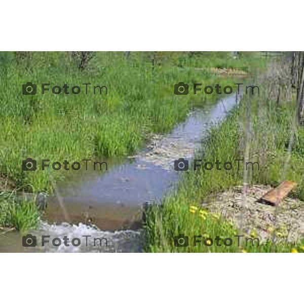 Tiziano Manzoni/LaPresse 5-4- 2025 Italia Cronaca Bergamo l\'avvio dell’apertura della roggia Morlana per il riempimento dell\'area umida di Grumello al Piano.con l\'assessore Oriana Ruzzini, il biologo Alessandro Mazzoleni consulente studio Gerundo con il progettista Paolo Pelliccioli e l\'impresa Bargiggia che ha realizzato il lavoro.