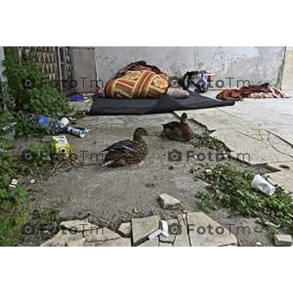Tiziano Manzoni/LaPresse 26-4- 2025 Italia Cronaca Bergamo nuovi spazi occupati dai senza tetto centro san bartolomeo suore barboni clochard