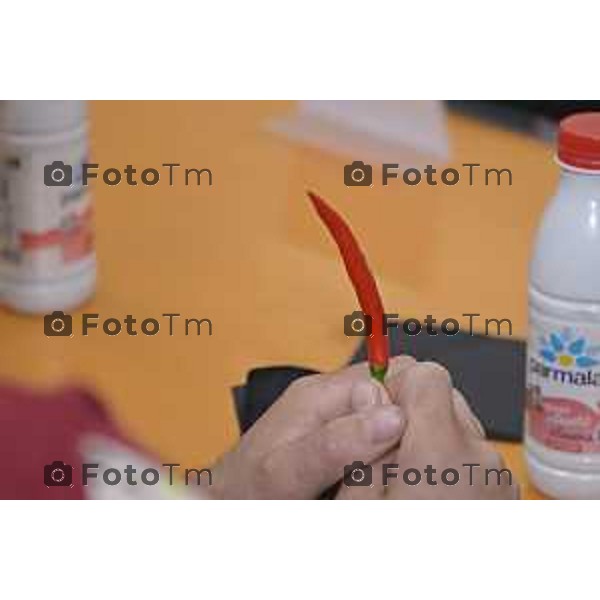 Tiziano Manzoni/LaPresse 4-5- 2025 Italia Cronaca Bergamo Chiuduno Tatoo fiera 4 tappa del Campionato italiano super hot mangiatori di peperoncino creato da Giancarlo Gasparotto in arte “Jack Pepper”, primo classificato Giovanni Mora.