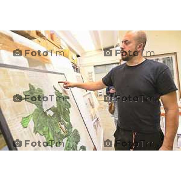 Tiziano Manzoni/LaPresse 7-6- 2025 Italia Cronaca Grassobio Bergamo Intervista all’artista Andrea Mastrovito