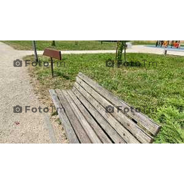 Bergamo 28-06-2025 parco della Trucca degrado e mancanza di manutenzione 