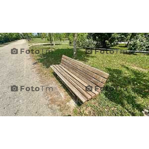 Bergamo 28-06-2025 parco della Trucca degrado e mancanza di manutenzione 