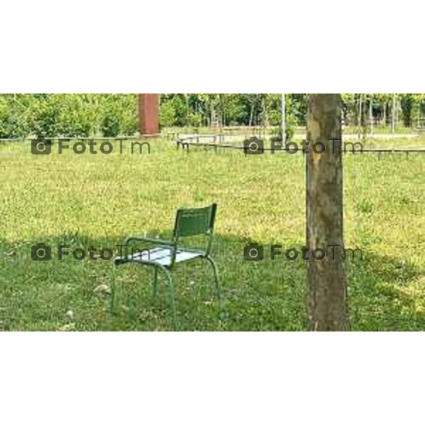 Bergamo 28-06-2025 parco della Trucca degrado e mancanza di manutenzione 
