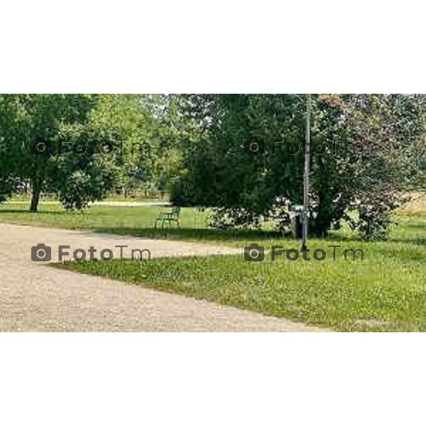 Bergamo 28-06-2025 parco della Trucca degrado e mancanza di manutenzione 