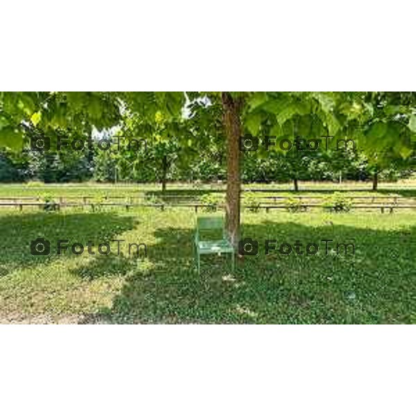 Bergamo 28-06-2025 parco della Trucca degrado e mancanza di manutenzione 
