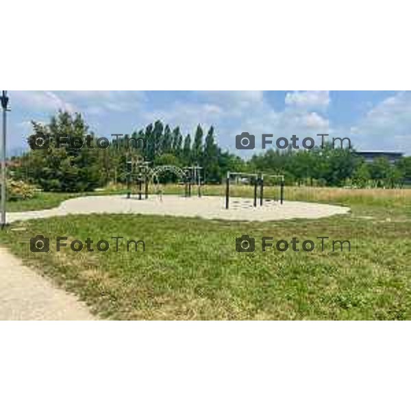 Bergamo 28-06-2025 parco della Trucca degrado e mancanza di manutenzione 