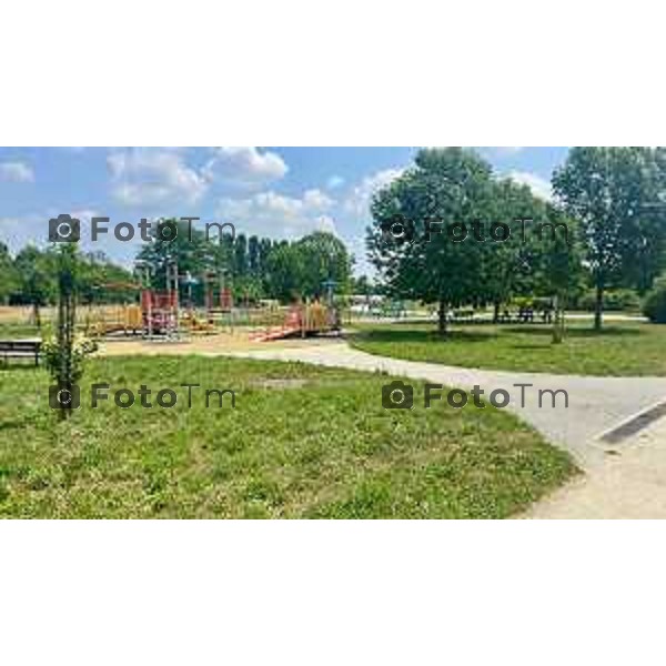 Bergamo 28-06-2025 parco della Trucca degrado e mancanza di manutenzione 