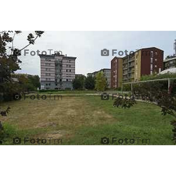 Tiziano Manzoni/LaPresse 5-7- 2025 Italia Cronaca Bergamo parco in via Mascagni dedicato a Rita Levi Montacini degrado