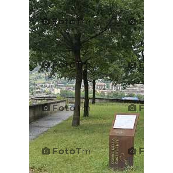 Tiziano Manzoni/LaPresse 5-7- 2025 Italia Cronaca BergamoBergamo alta parco Sant\'Agostino rotonda fara e turisti stranieri