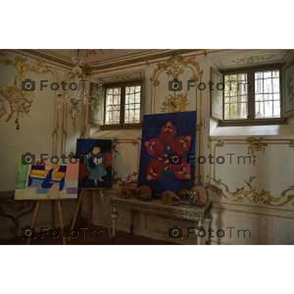 Bergamo Tour dimore e Design storiche i saloni arredati dagli artisti: Nella foto Palazzo Terzi con le opere delle artiste Paola Navone e Rosa Maria Rinaldi