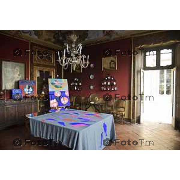 Bergamo Tour dimore e Design storiche i saloni arredati dagli artisti: Nella foto Palazzo Terzi con le opere delle artiste Paola Navone e Rosa Maria Rinaldi