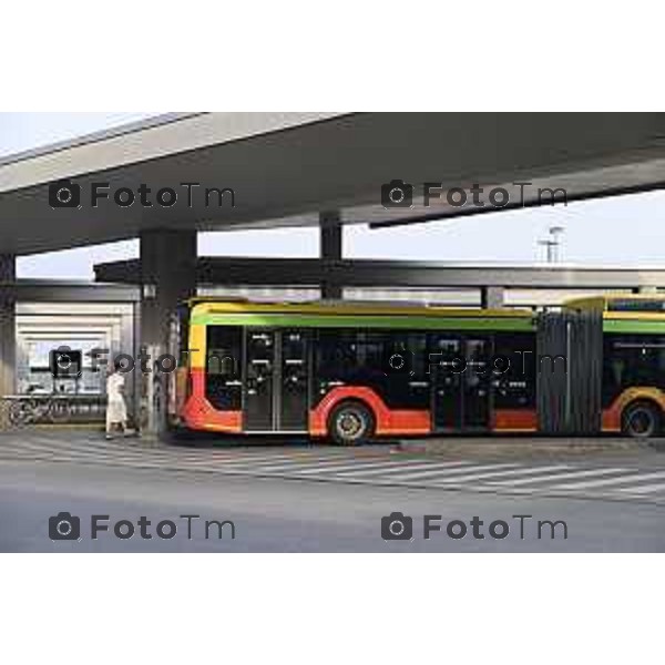 Tiziano Manzoni/LaPresse 26-78 2025 Italia Cronaca BergamoAutolinee bus pic nic solidale associazioni Oltre Pacipaciana Mediterranea