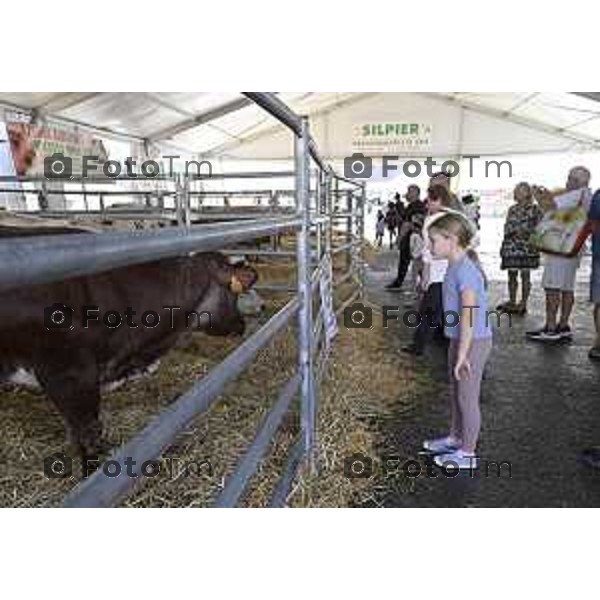 Tiziano Manzoni/LaPresse 05-9- 2025 Italia Cronaca Bergamo Fiera Nuova e Promoberg inaugurazione Fiera di Sant’Alessandro 2025.