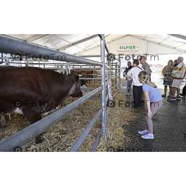 Tiziano Manzoni/LaPresse 05-9- 2025 Italia Cronaca Bergamo Fiera Nuova e Promoberg inaugurazione Fiera di Sant’Alessandro 2025.
