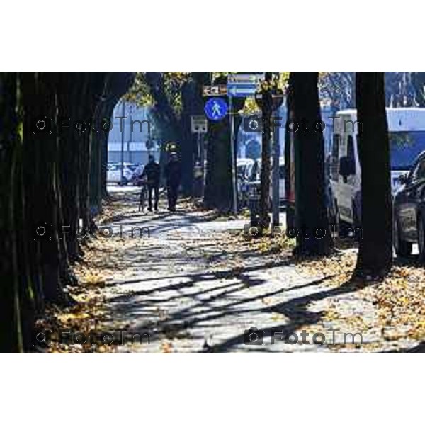 Tiziano Manzoni/LaPresse 6-11-2025 Bergamo, Italia Cronaca TreviglioTreviglio Via piazze paese gente generiche 2025 PIazza Setti Manara, via teatro basilica filodrammatici gente mamme stranieri questura commissariato monte dei paschi bar chiesa parrocchiale ztl parcheggi autunno alberi bicilette panchine rifiuti carcano vicolo