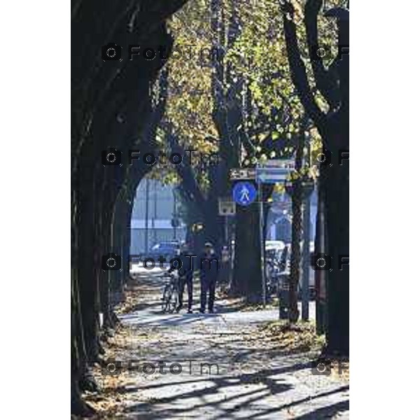 Tiziano Manzoni/LaPresse 6-11-2025 Bergamo, Italia Cronaca TreviglioTreviglio Via piazze paese gente generiche 2025 PIazza Setti Manara, via teatro basilica filodrammatici gente mamme stranieri questura commissariato monte dei paschi bar chiesa parrocchiale ztl parcheggi autunno alberi bicilette panchine rifiuti carcano vicolo