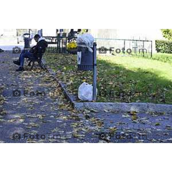 Tiziano Manzoni/LaPresse 6-11-2025 Bergamo, Italia Cronaca TreviglioTreviglio Via piazze paese gente generiche 2025 PIazza Setti Manara, via teatro basilica filodrammatici gente mamme stranieri questura commissariato monte dei paschi bar chiesa parrocchiale ztl parcheggi autunno alberi bicilette panchine rifiuti carcano vicolo