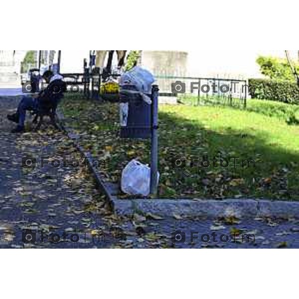 Tiziano Manzoni/LaPresse 6-11-2025 Bergamo, Italia Cronaca TreviglioTreviglio Via piazze paese gente generiche 2025 PIazza Setti Manara, via teatro basilica filodrammatici gente mamme stranieri questura commissariato monte dei paschi bar chiesa parrocchiale ztl parcheggi autunno alberi bicilette panchine rifiuti carcano vicolo