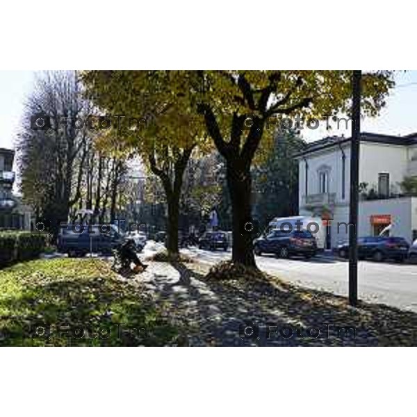 Tiziano Manzoni/LaPresse 6-11-2025 Bergamo, Italia Cronaca TreviglioTreviglio Via piazze paese gente generiche 2025 PIazza Setti Manara, via teatro basilica filodrammatici gente mamme stranieri questura commissariato monte dei paschi bar chiesa parrocchiale ztl parcheggi autunno alberi bicilette panchine rifiuti carcano vicolo